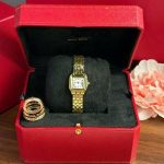Cartier Panth??re WGPN0047 Ladies Small Model Yellow Gold Replica BVF 23mm x 30mm - Image 10