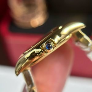 Cartier Panth??re WGPN0047 Ladies Small Model Yellow Gold Replica BVF 23mm x 30mm - Image 14