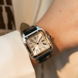Cartier Santos Dumont CRW2SA0011 Two Tone Silver Dial Leather Strap Replica BVF 38mm x 27.5mm - Image 10