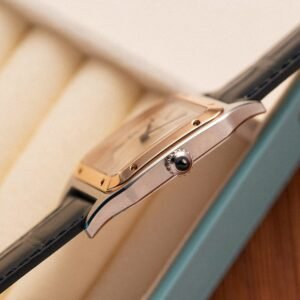Cartier Santos Dumont CRW2SA0011 Two Tone Silver Dial Leather Strap Replica BVF 38mm x 27.5mm - Image 12