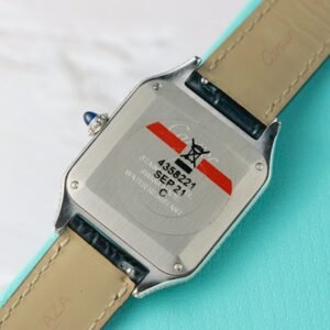 Cartier Santos Dumont Steel Silver Dial Custom Moissanite Case Leather Strap Replica BVF 38mm x 27.5mm - Image 13