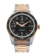 Seamaster 300
233.20.41.21.01.001 - Image 5