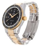 Seamaster 300
233.20.41.21.01.002
