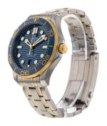 Seamaster Diver 300m
210.20.42.20.03.001