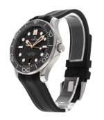 Seamaster Diver 300m
210.22.42.20.01.004 - Image 4
