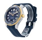 Seamaster Diver 300m
210.22.42.20.03.001 - Image 4