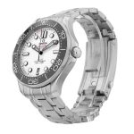 Seamaster Diver 300m
210.30.42.20.04.001 - Image 4