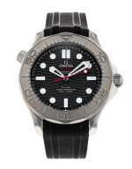 Seamaster Diver 300m
210.32.42.20.01.002 - Image 3