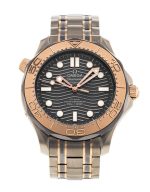 Seamaster Diver 300m
210.60.42.20.99.001 - Image 5