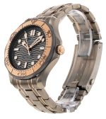 Seamaster Diver 300m
210.60.42.20.99.001 - Image 6