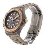 Seamaster Diver 300m
210.60.42.20.99.001 - Image 6