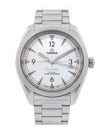 Seamaster Railmaster
220.10.40.20.06.001 - Image 3