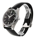 Seamaster Railmaster
2803.52.37 - Image 4
